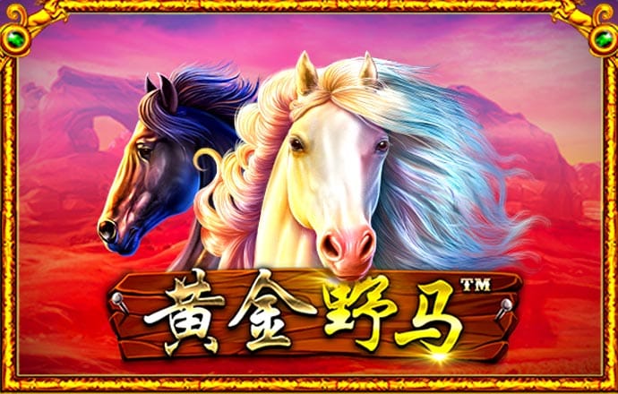 944cc天下彩线入口马会资料